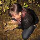 ���� �����, �����������, 42 ���� - ��������� 21 ���� 2014 � ������ ���� ����������