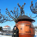 ���� �������, �����������, 68 ��� - ��������� 24 ����� 2014