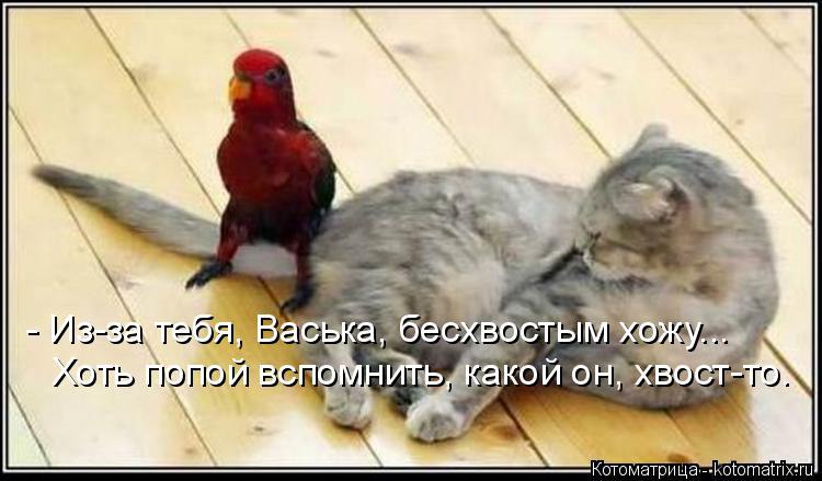 Alex Linadherent - 17  2014  13:17