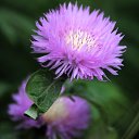  Ww, --, 75  -  14  2014   