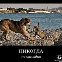 ���� ���������, �������, 46 ��� - ��������� 24 ������ 2014 � ������ ������ ��������