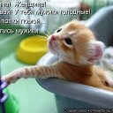  Marina,  -  12  2014    