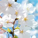  Lusi, , 44  -  27  2014    