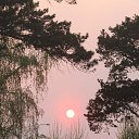 ���� ������� �, ��������, 59 ��� - ��������� 4 ��� 2014 � ������ ���� ����������