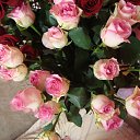 ���� �������, ������ - ��������� 27 ���� 2014 � ������ ������ ��������