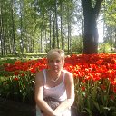 ���� ����, ��������, 58 ��� - ��������� 24 ��� 2014