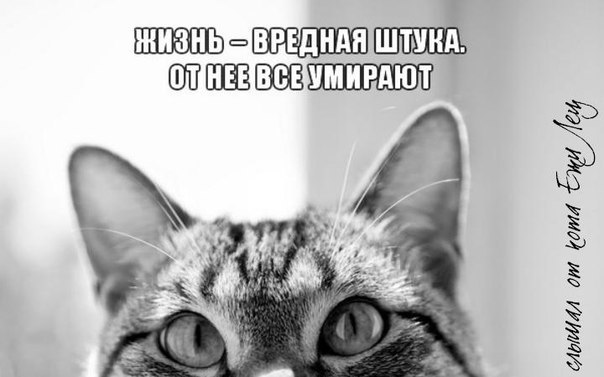 /zev/null - 9  2014  16:00