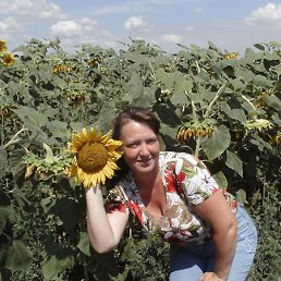 �����, �����-���������, 49 ���