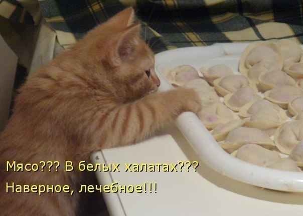 ☆ ☆ - 10  2014  20:16