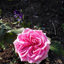 ���� Vlad, ������ - ��������� 11 ������� 2014 � ������ ��������