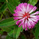 3.07.2014 �� ������� �� ��� - ��������!!!)))�