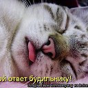  , , 46  -  19  2014   ))))