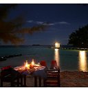 ���� Volk, �������, 46 ��� - ��������� 1 ��� 2014 � ������ ���� ����������