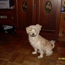 ���� ���������� �� ������� ������� �