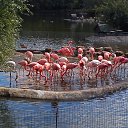  ,  , 23  -  17  2014    