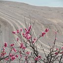 ���� ����, ��������, 49 ��� - ��������� 22 ������ 2014 � ������ ���� ����������