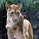 ���� Svetlana, ������ - ��������� 8 ������� 2014 � ������ ���� ����������