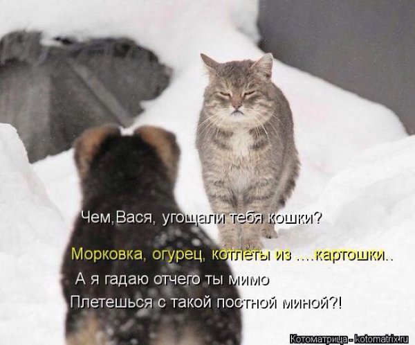 �������� �������� - 4 ��� 2014 � 14:01
