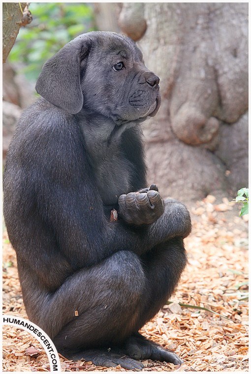 -. #animal@travel.blog - 8