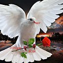 ���� Aska, ����, 54 ���� - ��������� 4 ��� 2014 � ������ ���� ����������