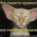 ���� �������, ������, 44 ���� - ��������� 23 ����� 2014 � ������ ���� ����� � �������������� ������-������