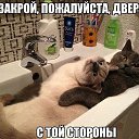 ���� ������, ��������� - ��������� 22 ���� 2014 � ������ ������ ��������