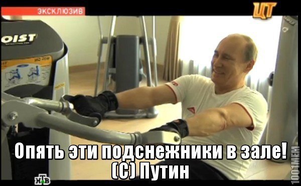SportFeed - 14  2014  11:59