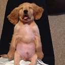 ���� ���� ������, ������, 59 ��� - ��������� 9 ������� 2014 � ������ ������ ��������