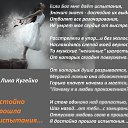 ���� ����, ����������, 53 ���� - ��������� 27 ��� 2014 � ������ ������ ��������