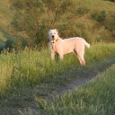 ���� ������, ������� - ��������� 26 ��� 2014 � ������ ������ ��������