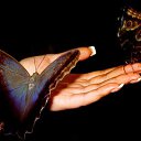  Z,  , 64  -  18  2014    