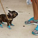  , , 71  -  19  2014     .