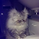 ���� �������, ��������� - ��������� 13 ��� 2014 � ������ �:)�