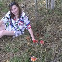 ���� ����, �����-��������� - ��������� 29 ������ 2014