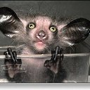 ���� �����, ������ - ��������� 28 ���� 2014 � ������ ���� ����������