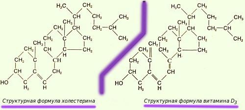 10    : 1.    (. 1514-1564) 2.  ... - 8