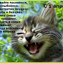 ���� �������, �����, 59 ��� - ��������� 1 ������ 2014 � ������ ������ ��������