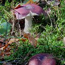 ���� �����, �����, 64 ���� - ��������� 6 ��� 2014 � ������ ������������ ������