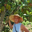 �������. �� ������� ���� ����������