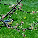 ���� �����, �����, 64 ���� - ��������� 4 ��� 2014 � ������ ������ � �����!�