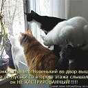  Ver@, , 71  -  31  2014    