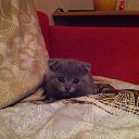 ���� �����, ������, 32 ���� - ��������� 9 ��� 2014 � ������ �������