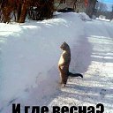  ,  -  21  2014      