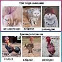 ���� �����, �������, 50 ��� - ��������� 10 ������ 2014 � ������ ���� ����������