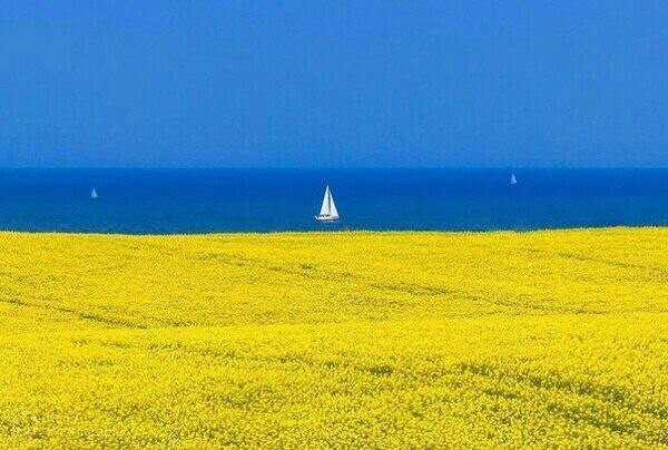 ����� ������, �������. Odessa, Ukraine.