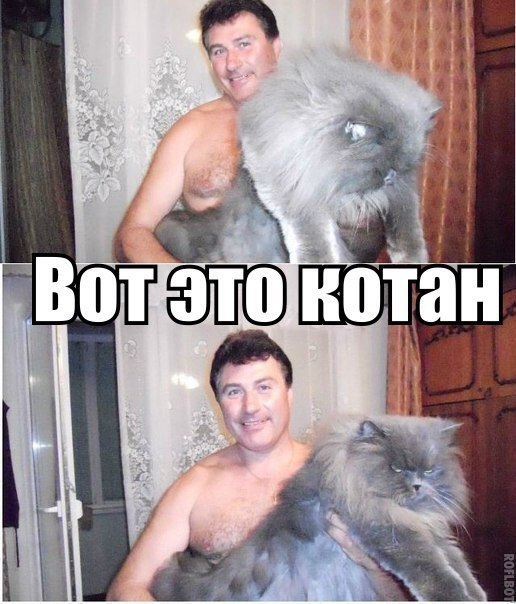   :3 - 5  2014  13:02