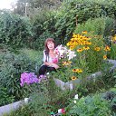 ���� �������, �����������, 71 ��� - ��������� 10 ������� 2014 � ������ ���� ����������