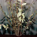 ���� �����, ���������, 60 ��� - ��������� 12 ������ 2014 � ������ ������ ��������