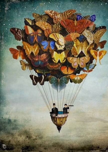   Christian Schloe - 5