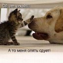 ���� ������, ���������, 42 ���� - ��������� 11 ������ 2014 � ������ �����������